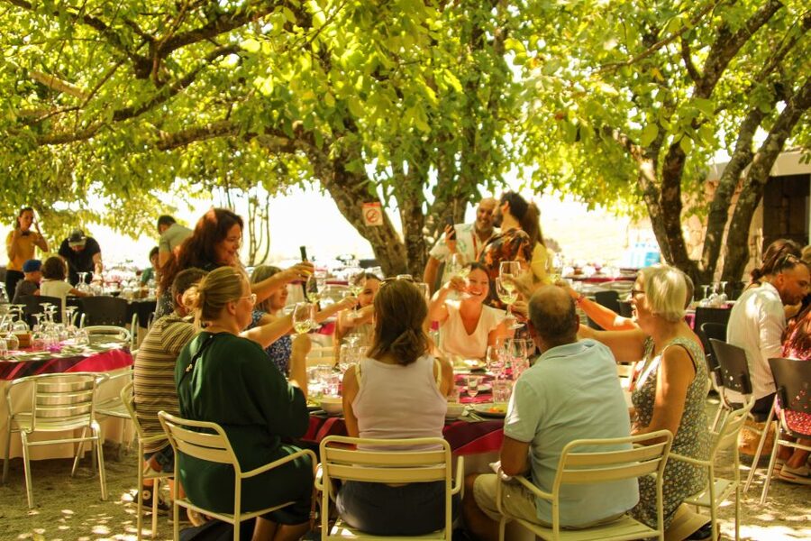 Porto: Douro Valley History & Wine Tour with Cruise & Lunch - Pacing, buses, and what to watch on a 10-hour day