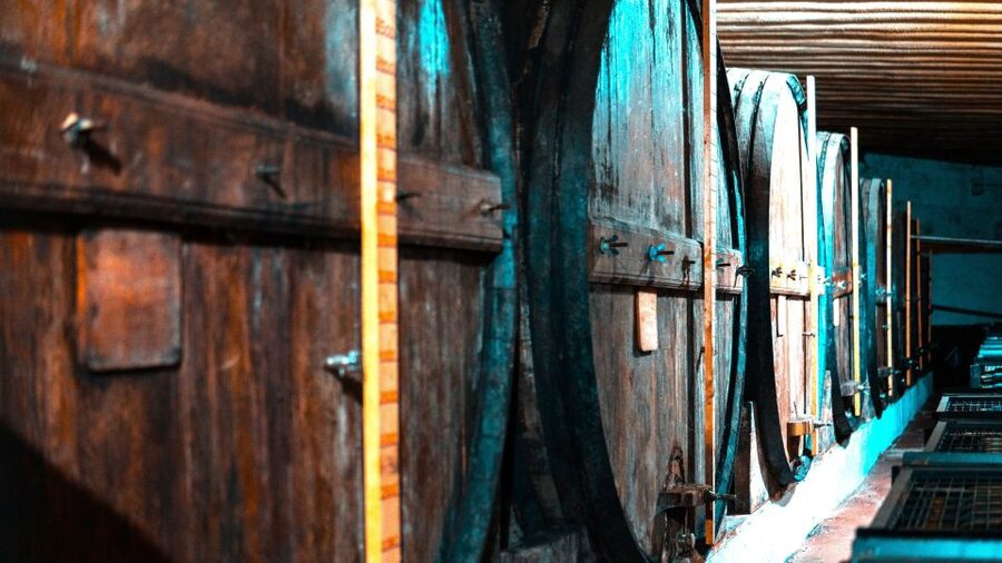 Porto: Douro Valley Private Grand Experience - Private - What to bring, and how to enjoy the pace