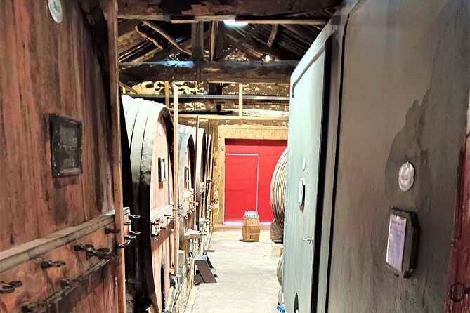 Porto: Douro Valley Private Grand Experience - Private - Traditional lunch in a Douro setting, with wine tasting built in