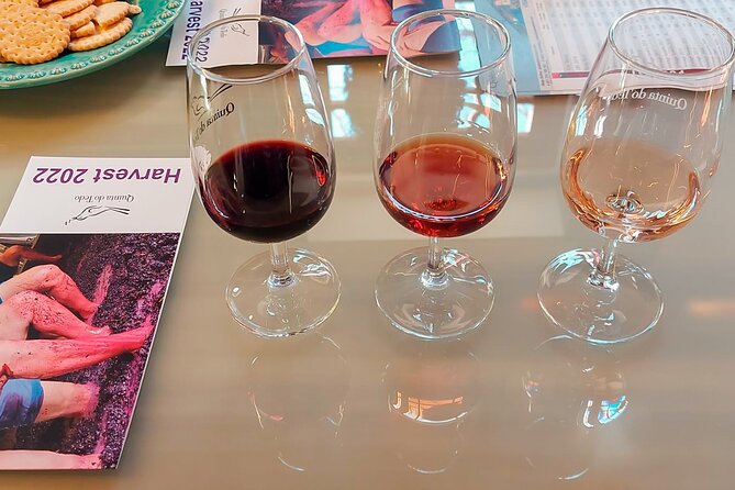 Porto: Douro Valley Private Grand Experience - Private - The historic winery stop: where the tastings make sense