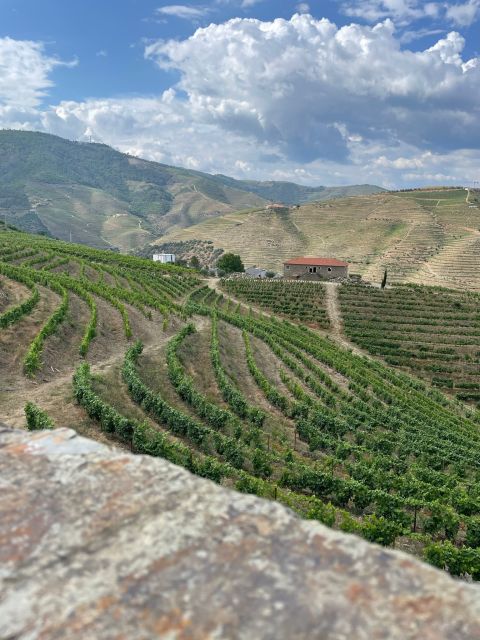 Porto: Douro Valley Private Tour 2 Vineyards & River Cruise - Key things that make this Douro day special