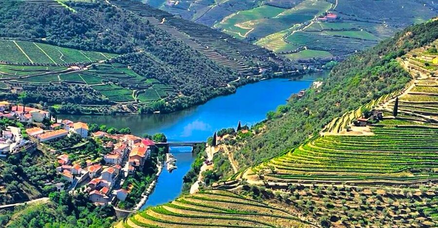 Porto: Douro Valley Private Tour 2 Vineyards & River Cruise - From Porto into UNESCO Douro country, with time to look up