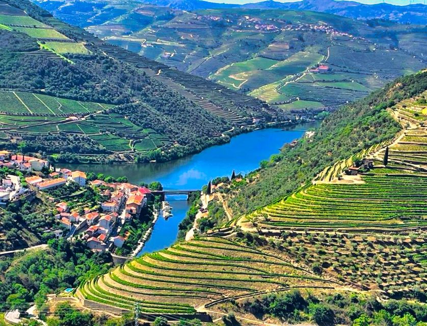 Porto: Douro Valley Private Tour 2 Vineyards & River Cruise - Vineyard tastings, wine and olive oil, plus the Port connection