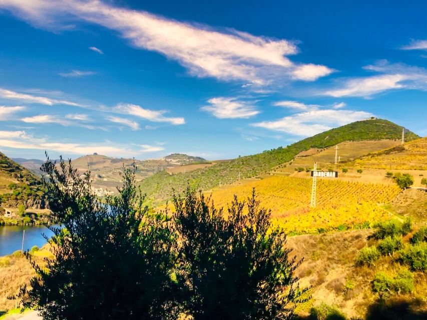 Porto: Douro Valley Private Tour 2 Vineyards & River Cruise - Pinhão dock to 1 hour on the Douro River cruise