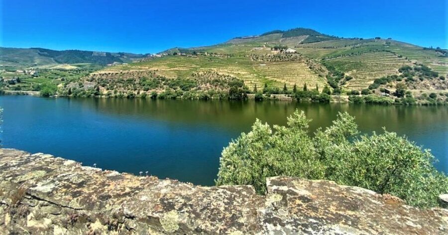 Porto: Douro Valley Private Tour 2 Vineyards & River Cruise - Who this tour fits best, and who might want something else