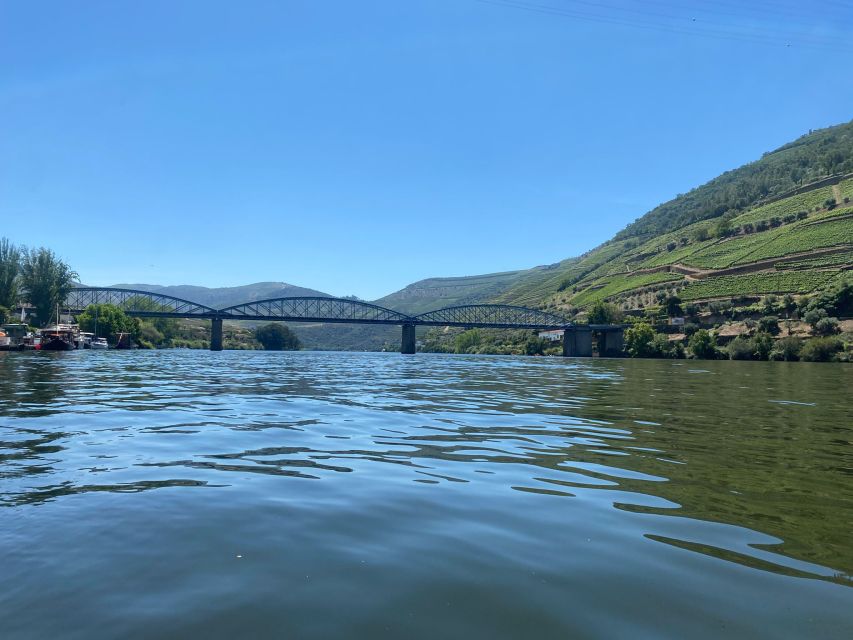Porto: Douro Valley Private Tour 2 Vineyards & River Cruise - N222 road time and viewpoint stops that actually matter