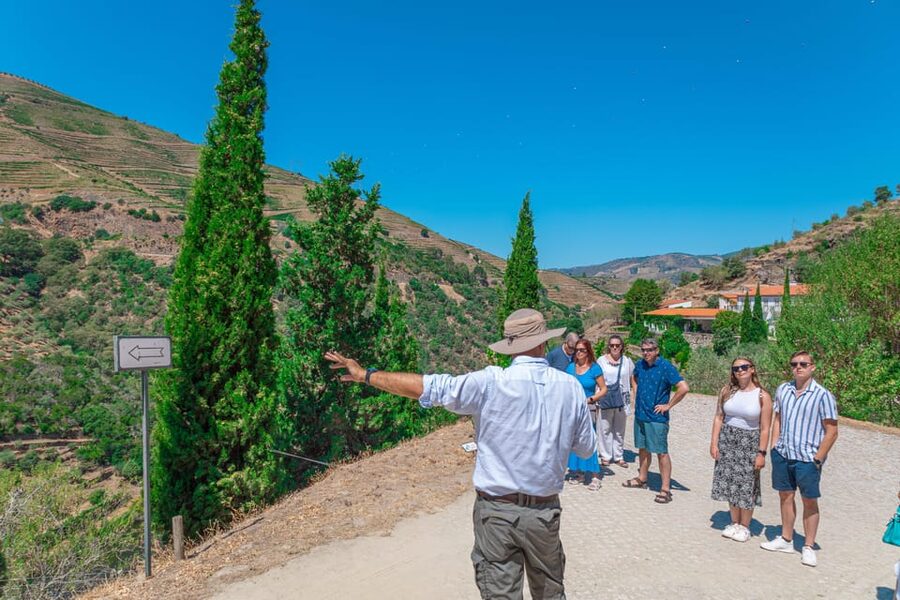 Porto: Douro Valley Private Tour, Tastings, Cruise & Lunch - Pinhão Panoramic Cruise: The 45 Minutes That Click
