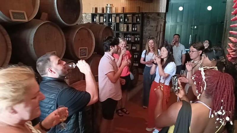 Porto: Douro Valley Tour at 2 Wineries with Lunch and Cruise - Pacing, Photo Stops, and Comfort on a 9-Hour Day