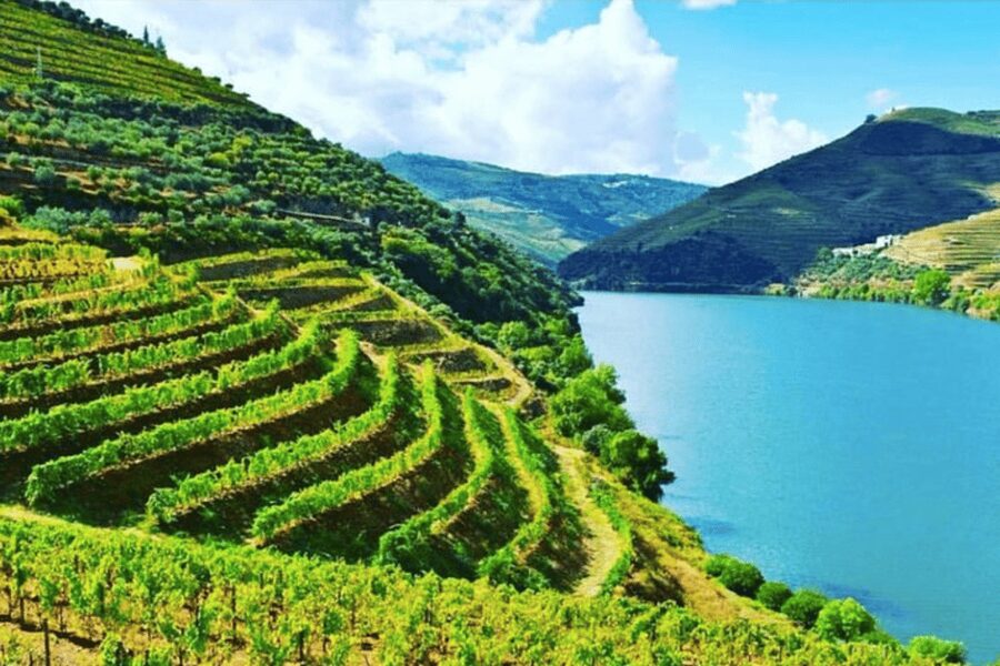 Porto: Douro Valley Tour w/ 3 Tastings, Lunch, & Opt. Cruise - Porto to Douro by Van, and Why the Drive Matters