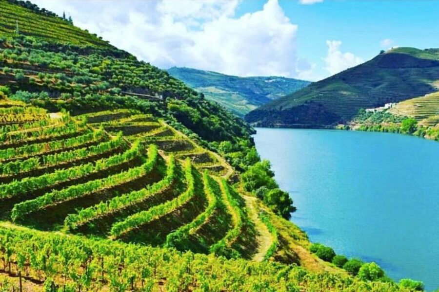 Porto: Douro Valley Tour w/ 3 Tastings, Lunch, & Opt. Cruise - Family Winery Lunch, Wine Pairings, and the Port Ending