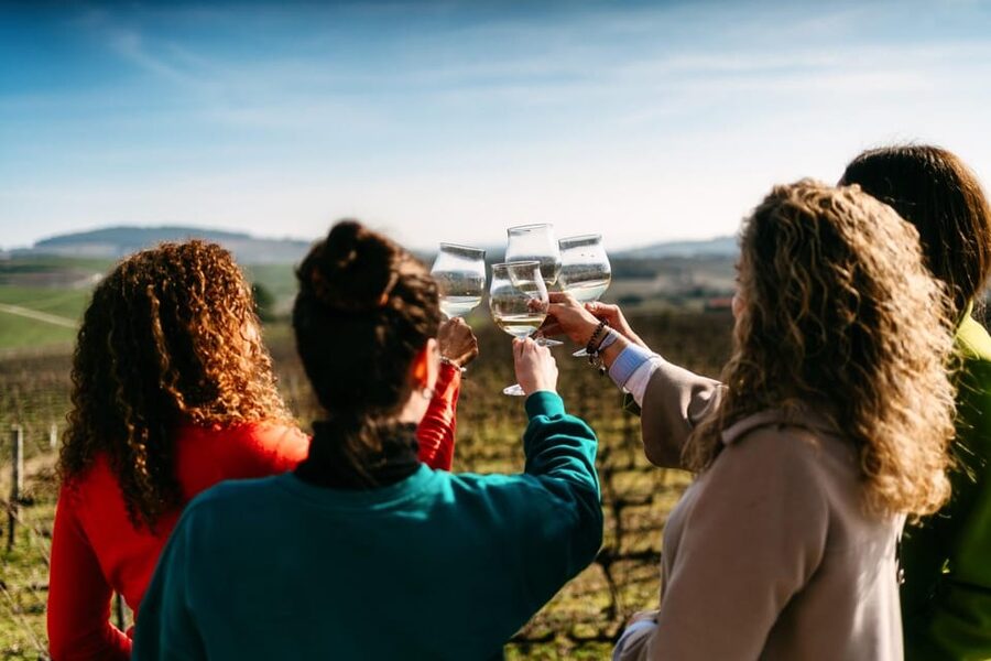 Porto: Douro Valley Tour with 2 Wineries, Lunch and Cruise - Douro Valley Day Trip Quick Hits