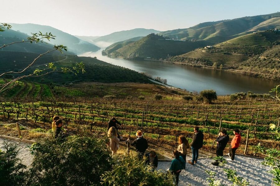 Porto: Douro Valley Tour with 2 Wineries, Lunch and Cruise - N222 Scenic Drive and Miradouro Stops: Photos That Feel Worth It