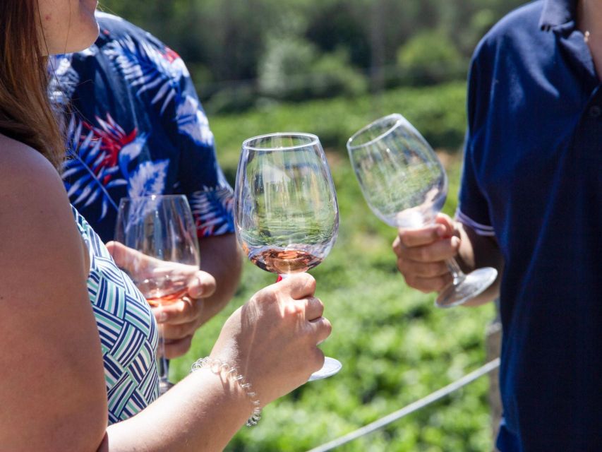 Porto: Douro Valley Tour with 3 vineyards and lunch. - Price check: is $147 good value for Porto to Douro?