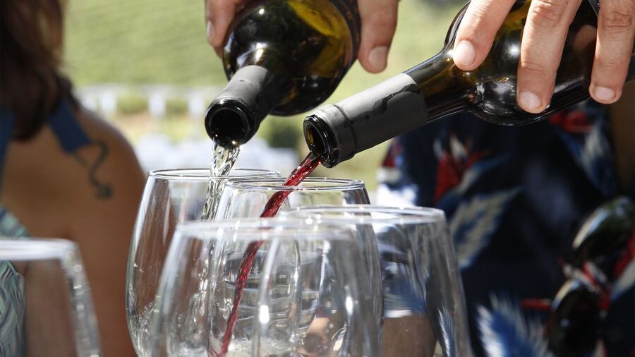 Porto: Douro Valley Tour with 3 vineyards and lunch. - The drive to the Douro River: fast scenery, short photo breaks