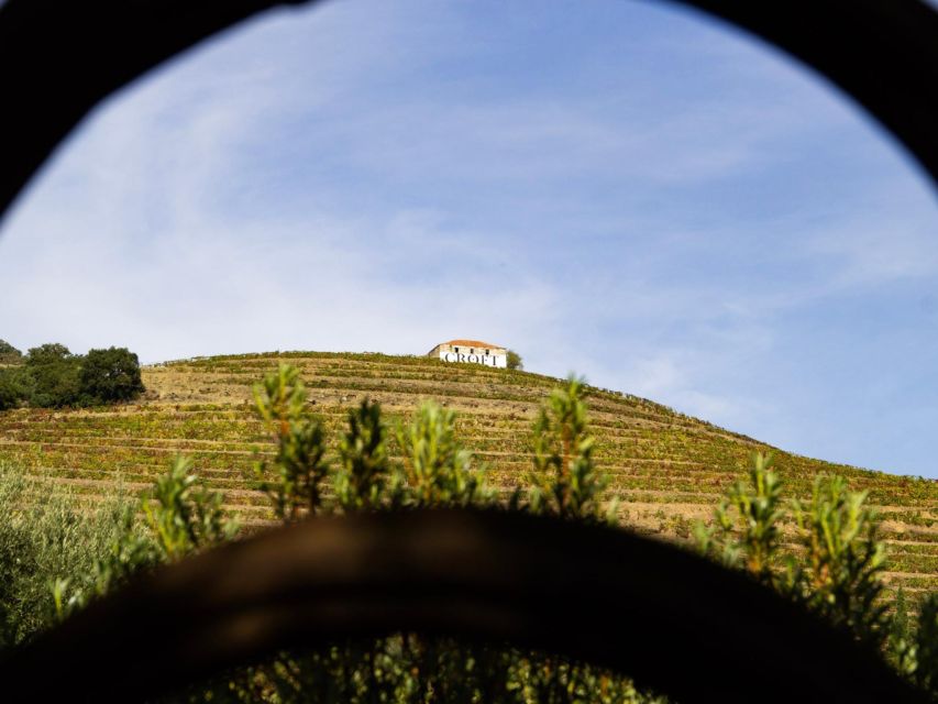 Porto: Douro Valley Tour with 3 vineyards and lunch. - How the 3-estate format actually plays out