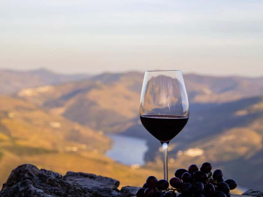 Porto: Douro Valley Tour with 3 vineyards and lunch. - Guides: the difference between a wine talk and a good day