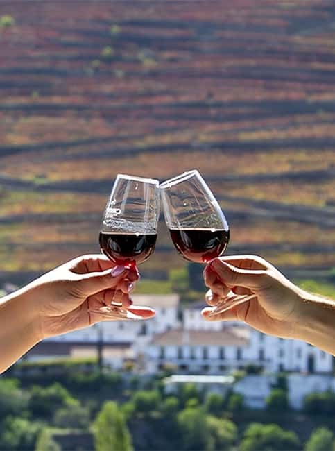 Porto: Douro Valley Tour with 3 vineyards and lunch. - Food, comfort, and what to pack for a 9-hour day