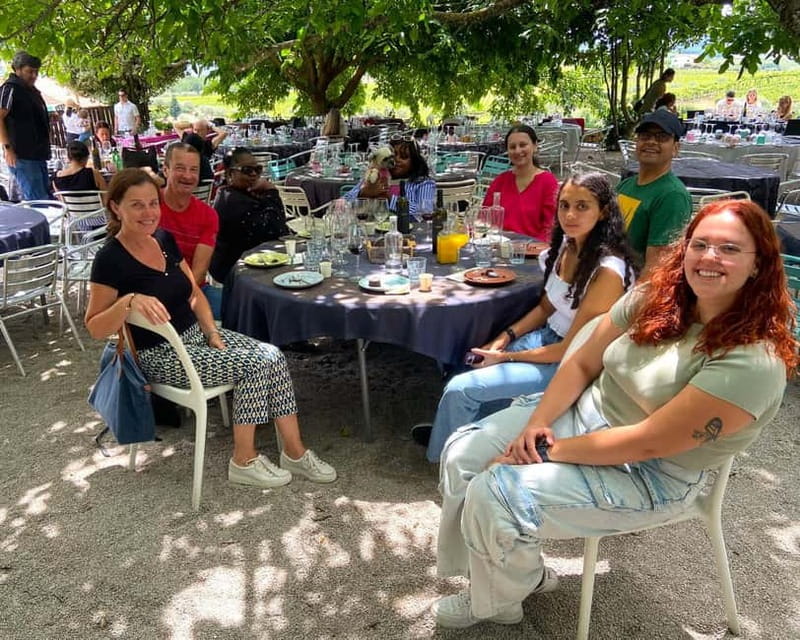 Porto: Douro Valley Tour with 3 Wineries and Lunch - Who This Douro Valley Tour Suits Best