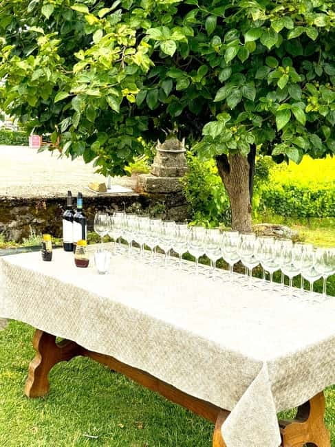 Porto: Douro Valley Tour with 3 Wineries and Lunch - Trindade Metro to the River Views: The Drive and First Stops