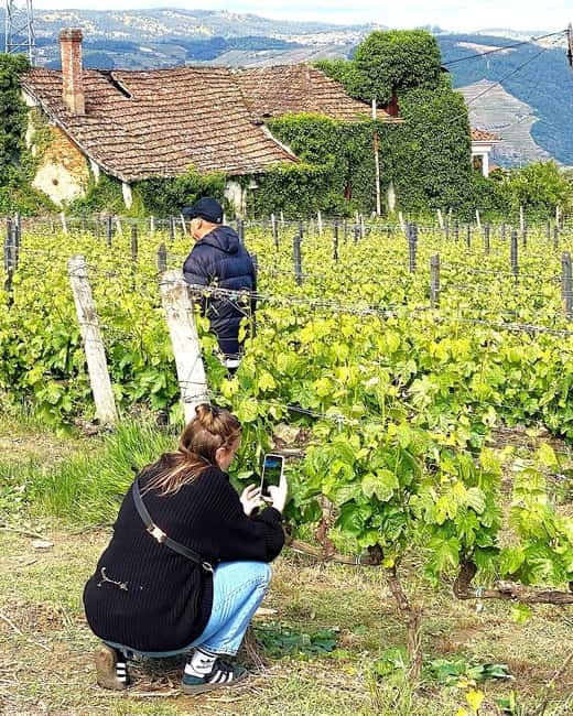 Porto: Douro Valley Tour with 3 Wineries and Lunch - Price and Logistics for $155: Is This Good Value?