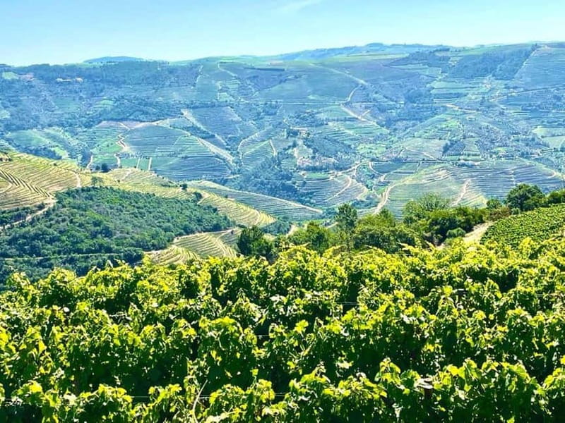 Porto: Douro Valley Tour with 3 Wineries and Lunch - Practical Tips Before You Go (So the Day Stays Fun)