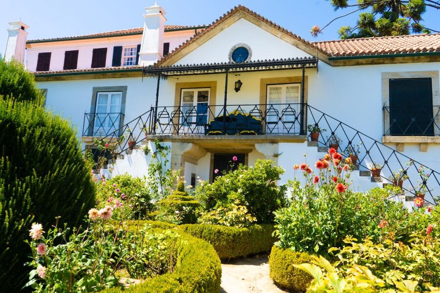 Porto: Douro Valley Tour with Lunch, Boat Cruise & Tastings - The N222 road drive: why the scenic stops are more than filler