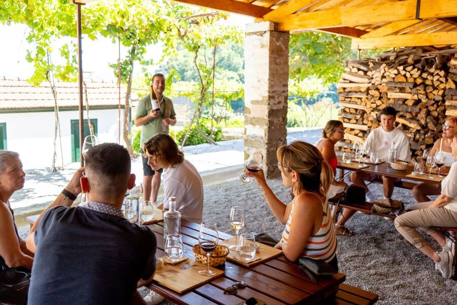 Porto: Douro Valley Tour with Lunch, Boat Cruise & Tastings - The 1959 co-operative: where the Douro wine story becomes real