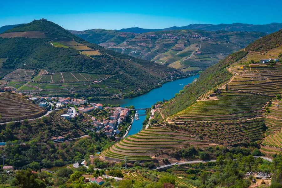 Porto: Douro Valley Tour with Lunch, Boat Cruise & Tastings - Olive oil tasting and Port-buying strategy for souvenirs