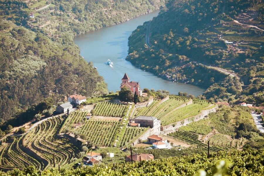 Porto: Douro Valley Tour with Wine Tasting, Cruise and Lunch - Quick hits before you go