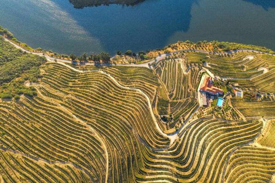 Porto: Douro Valley Tour with Wine Tasting, Cruise and Lunch - Guides, Small-Group Energy, and Why Personal Style Changes the Whole Day