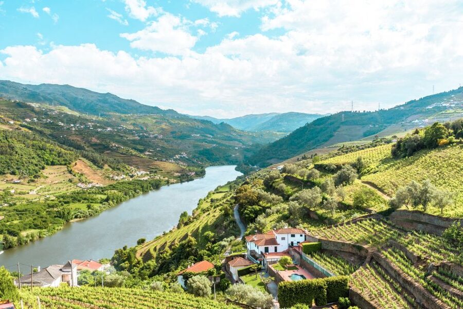Porto: Douro Valley Tour with Wine Tasting, Cruise and Lunch - The Mid-Morning Coffee Break in Peso da Régua
