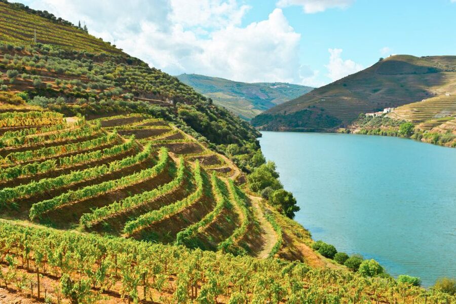 Porto: Douro Valley Tour with Wine Tasting, Cruise and Lunch - Sabrosa Photo Stop and the Scenic Finish Back Into Porto