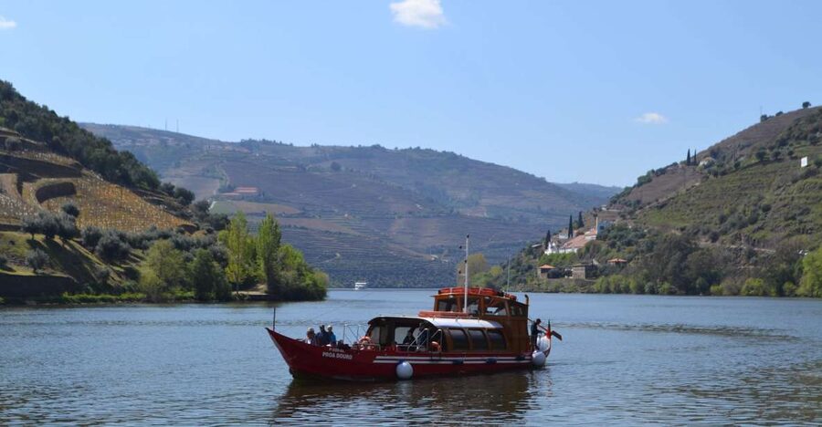 Porto: Douro Valley Vineyards Tour with Lunch & River Cruise - Key takeaways before you go