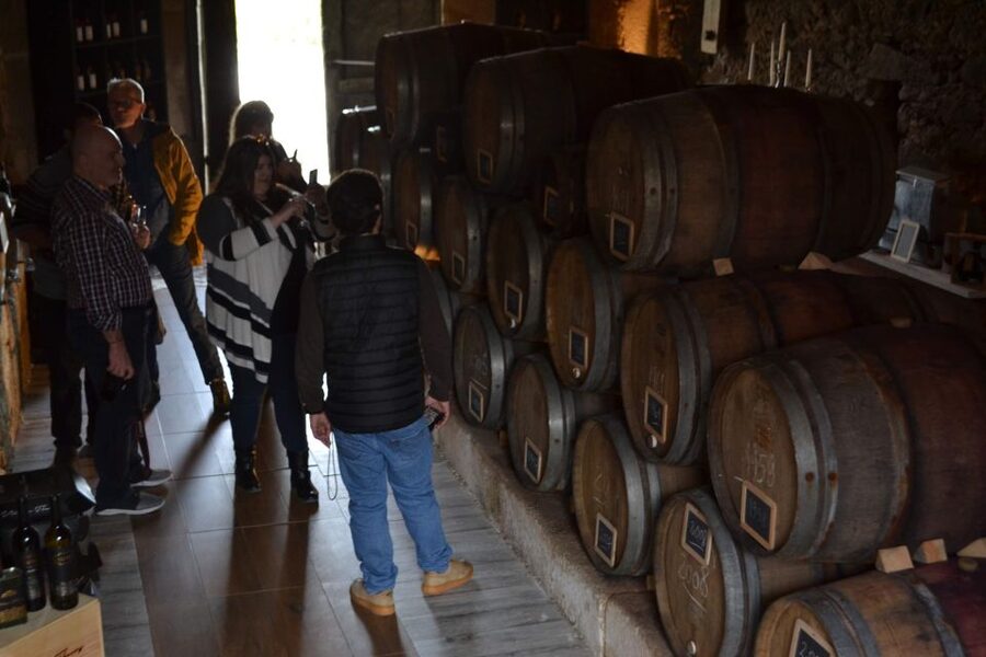 Porto: Douro Valley Vineyards Tour with Lunch & River Cruise - Why this Douro Valley day trip works so well