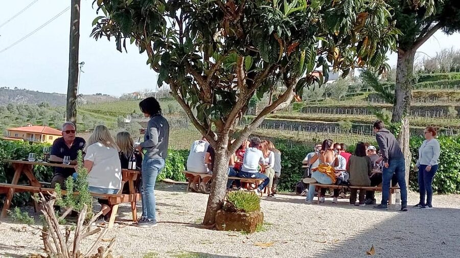 Porto: Douro Valley Vineyards Tour with Lunch & River Cruise - Sabrosa lunch at the vineyard: where the day slows down