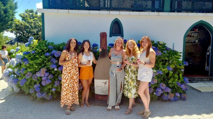 Porto: Douro Valley Vineyards Tour with Lunch & River Cruise - Guides and drivers: the real engine of the experience