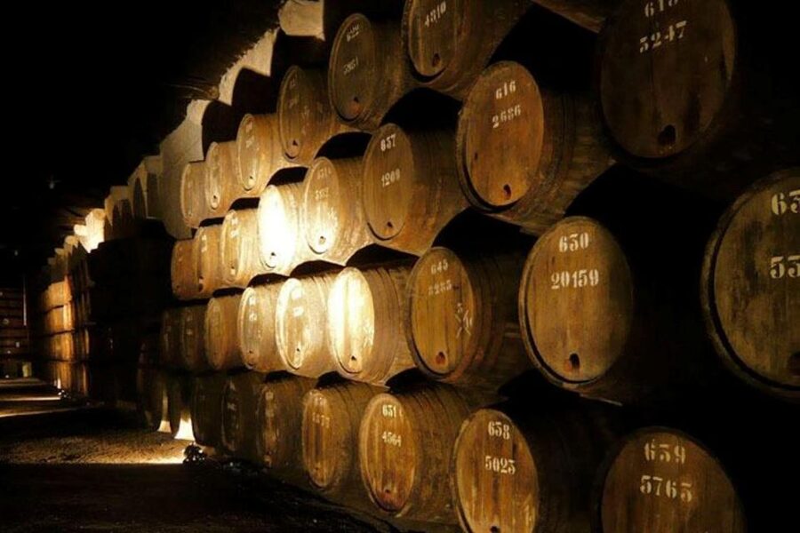 Porto: Douro Valley Wine Tour - How the Day Moves From Porto to Douro