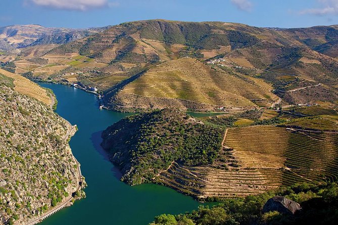 Porto: Douro Valley Wine Tour Including Lunch - Winery Contrast: Why The Terroir Lesson Is More Than A Phrase