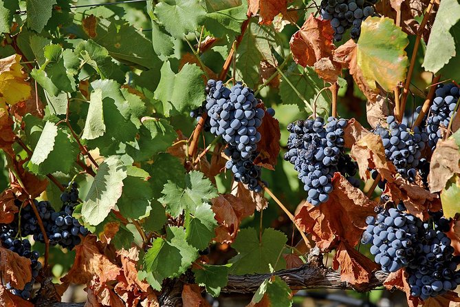 Porto: Douro Valley Wine Tour Including Lunch - The River Part: Pinhão And The Rabelo Boat Cruise