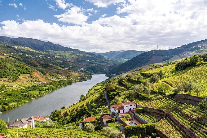 Porto: Douro Valley Wine Tour Including Lunch - National Road 222: The Drive-Through Postcard Stretch