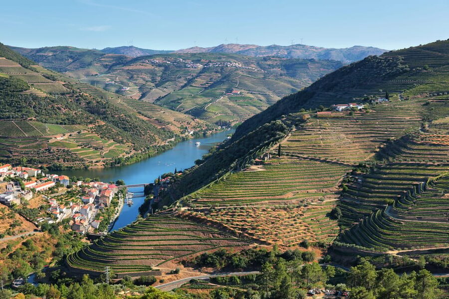 Porto: Douro Valley Wine Tour with a Sommelier & Boat Trip - Key highlights you will feel all day