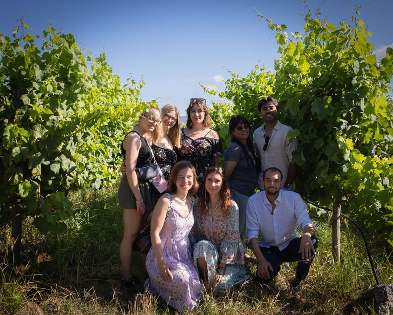 Porto: Douro Valley Wine Tour with a Sommelier & Boat Trip - Second winery in the Douro hills: DOC wines, Port aging, and generational pride