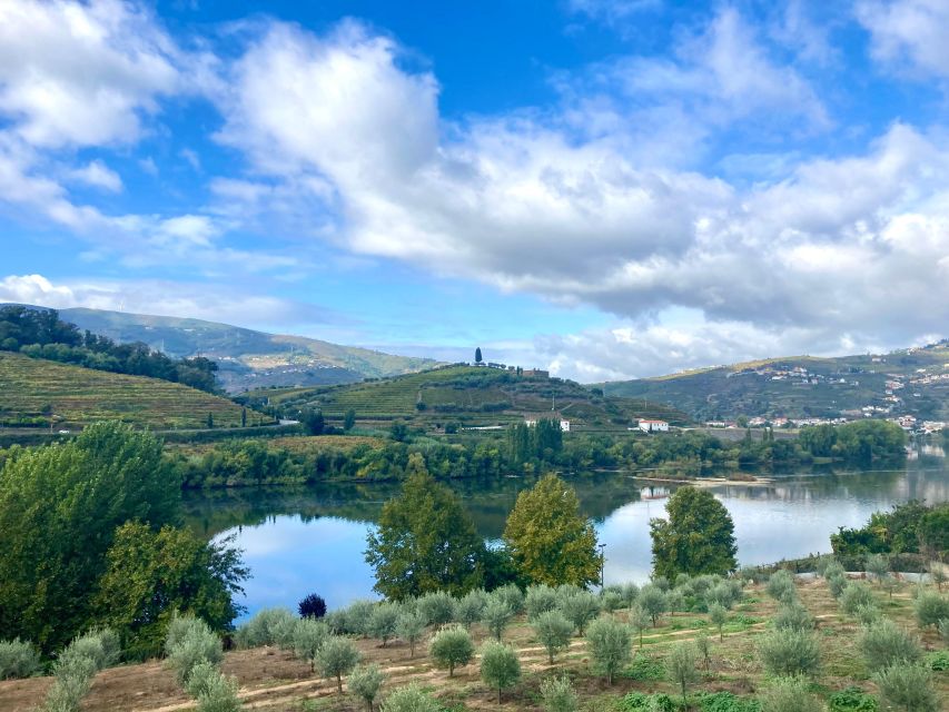 Porto: Douro Valley Wine Tour with Tastings, Boat, and Lunch - Key reasons this Douro day works so well