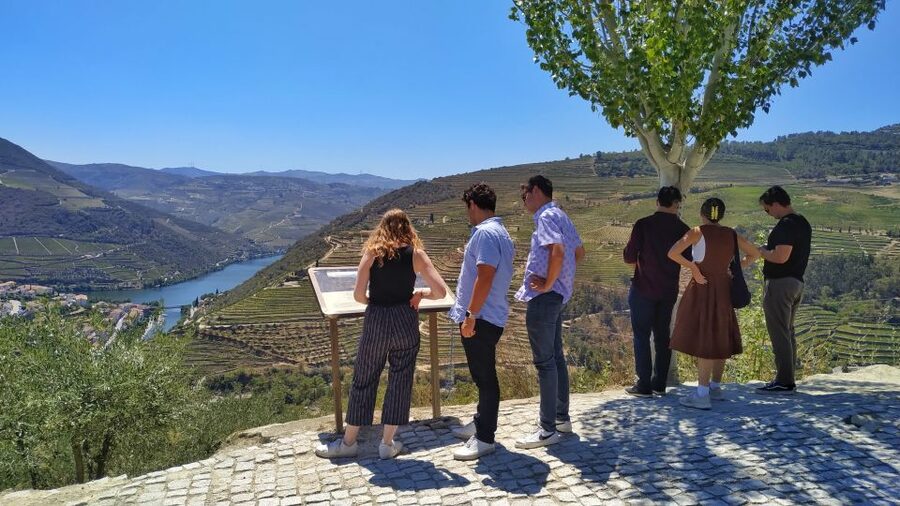 Porto: Douro Valley Wine Tour with Tastings, Boat, and Lunch - Why the small-group setup feels better in Portugal