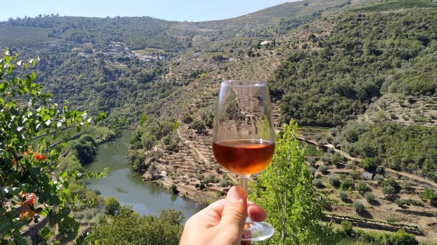 Porto: Douro Valley Wine Tour with Tastings, Boat, and Lunch - The premium Port tastings after lunch, including Vintage Port