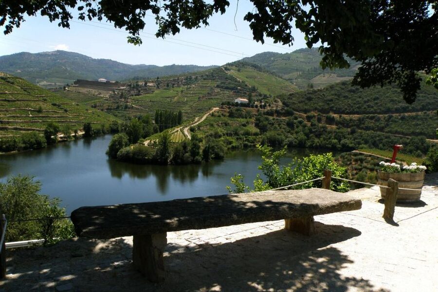 Porto: Douro Valley Wine Tour - Sabrosa Winery Tasting: Port Wine Starts to Make Sense