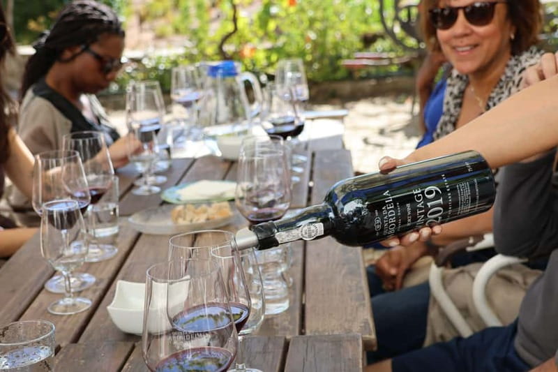 Porto: Douro Valley with Small Wineries, Lunch and Boat Tour - First stop: getting from Porto into Douro Valley rhythm