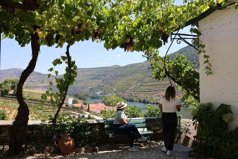 Porto: Douro Valley with Small Wineries, Lunch and Boat Tour - Lunch in the Douro: traditional Portuguese plates, with dietary options