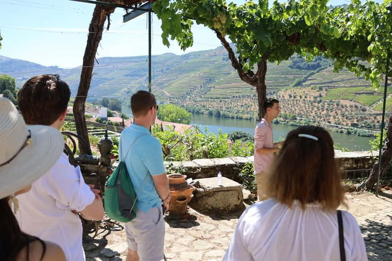Porto: Douro Valley with Small Wineries, Lunch and Boat Tour - What you sample and how wine purchases usually work