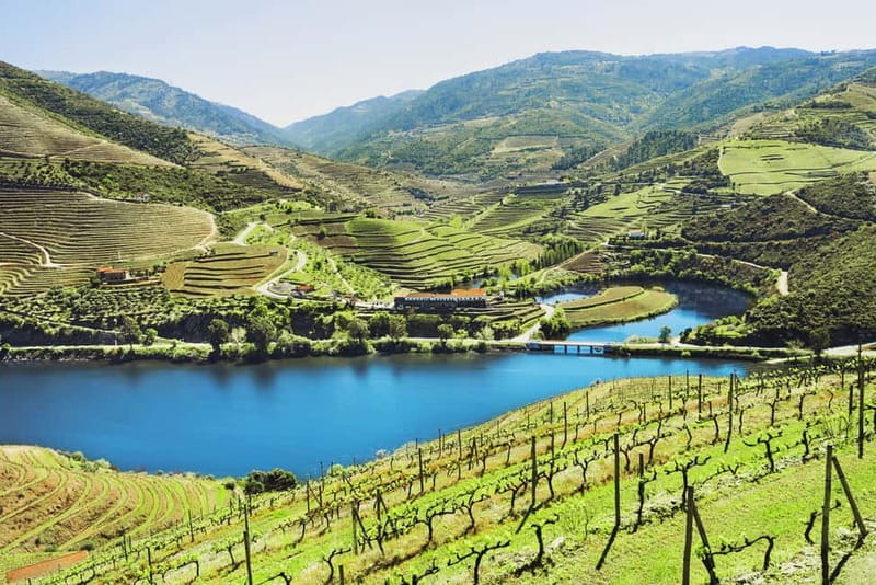 Porto: Douro Wine Tour with Lunch and River Cruise - Key things that make this Douro wine day special